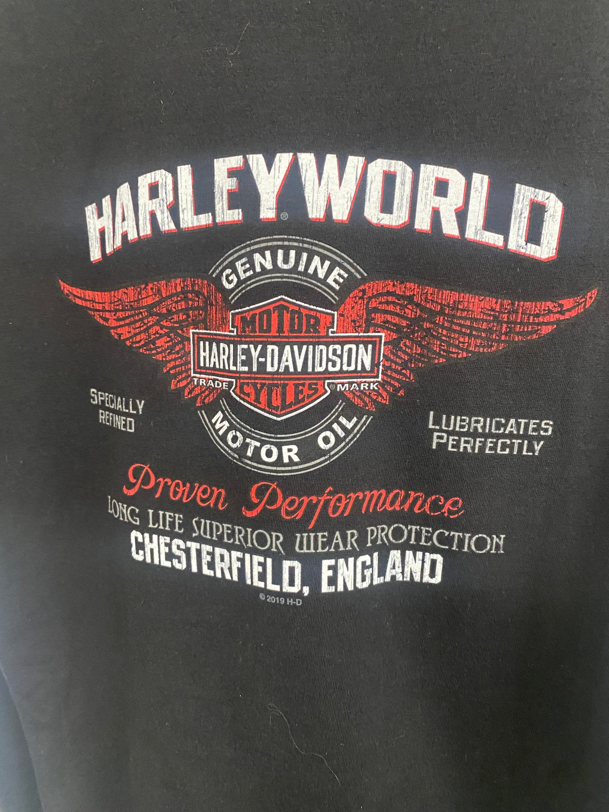 Harley Davidson Men's Flame Steel Dealer Tee