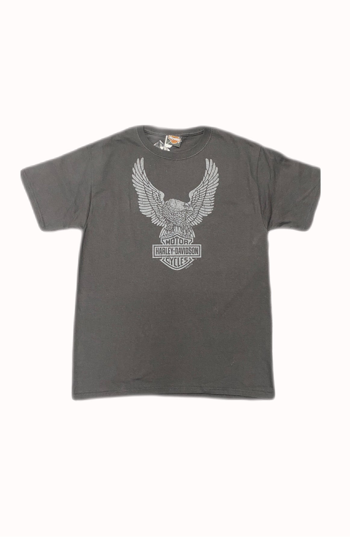 Harley Davidson Men's Upwing Dealer T-shirt