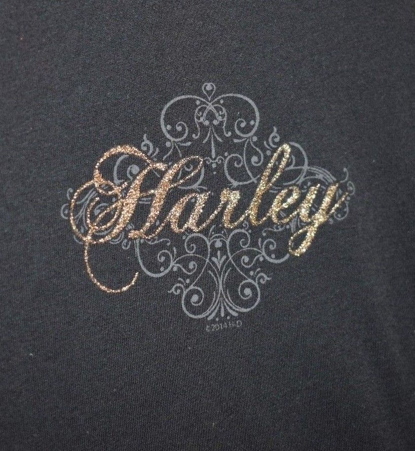 Harley Davidson Black Vent Robin Hood Dealer T-Shirt Harley-Davidson®- HarleyShop